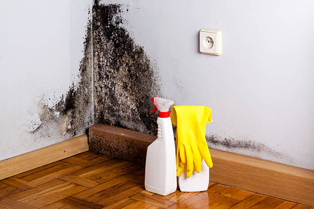 Water Damage Restoration in Irvine, KY